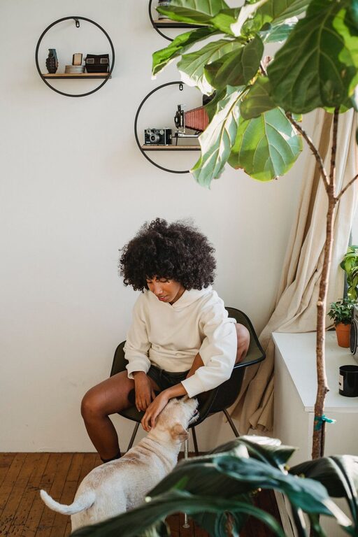 Creating a Cozy Pet-Friendly Home Corner: A Step-by-Step Guide